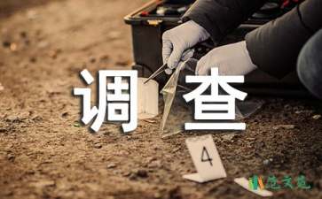 關(guān)于調(diào)查報告的作文錦集10篇