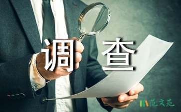 【實用】調(diào)查報告作文300字合集八篇