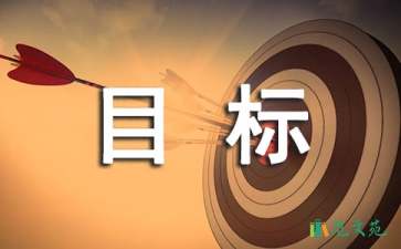 目標(biāo)工作計劃集錦9篇