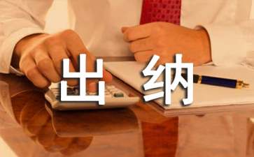 出納轉(zhuǎn)正申請(qǐng)表個(gè)人總結(jié)范文