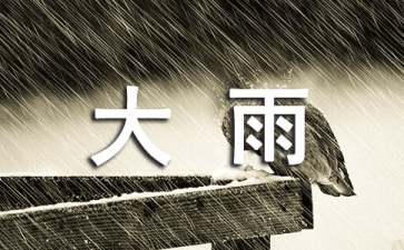 關于大雨小雨教案3篇