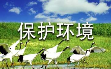 保護(hù)環(huán)境資源的建議書集合10篇