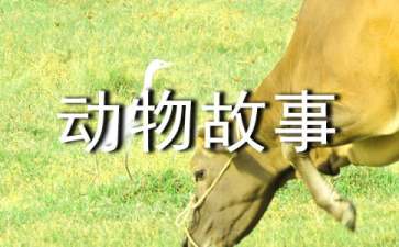 讀《動物故事》有感