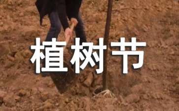 小學植樹節(jié)活動策劃(15篇)