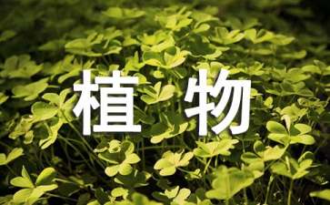 植物學實習報告15篇