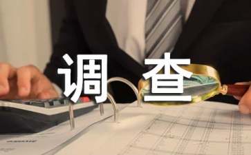 小學生錯別字調(diào)查報告