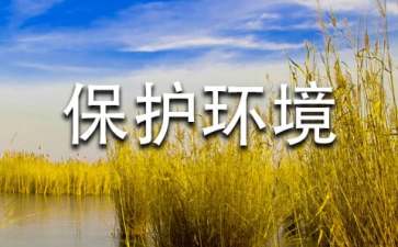 保護環(huán)境,人人有責(zé)建議書