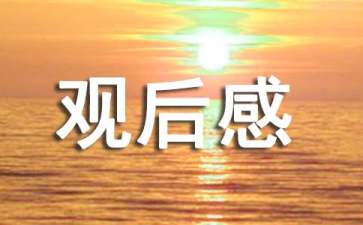 2022年關(guān)于北京冬奧會(huì)的觀后感800字（精選6篇）